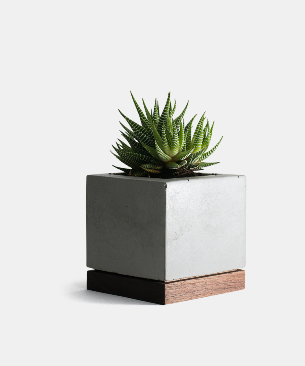 planter-concrete-and-walnut-1